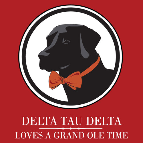 Delta Tau Delta Loves A Grand Ole Time Rush & Bid Sorority 